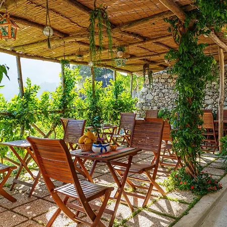 Poggio Angelarosa: Lemon Garden Stay&relax Holiday home *
