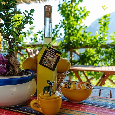 Poggio Angelarosa: Lemon Garden Stay&relax